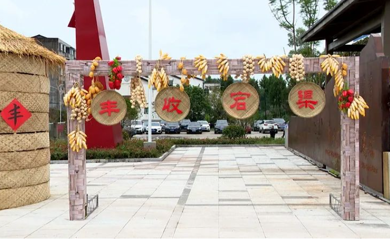 用户打卡图6
